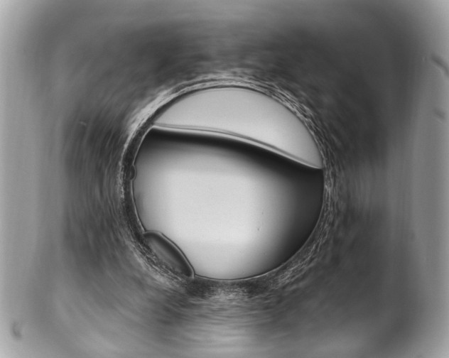 X0000101420248200807071038