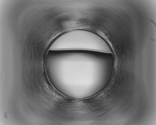 X0000101420249200807071038