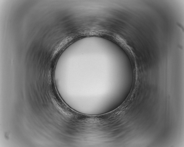 X0000101420250200807071038