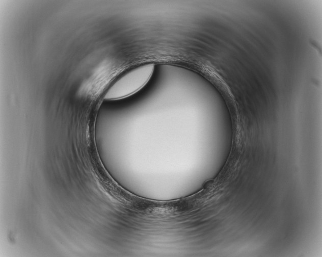 X0000101420251200807071038