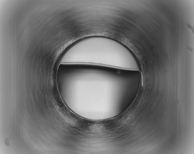 X0000101420252200807071038