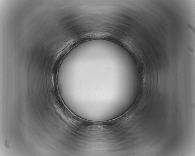X0000101420254200807071038