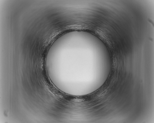 X0000101420255200807071038