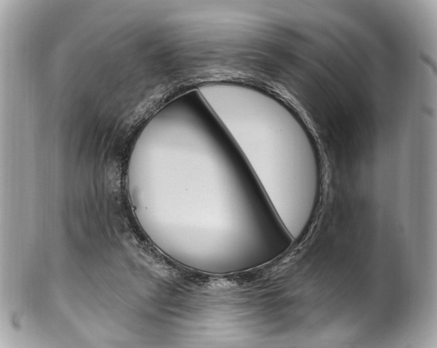 X0000101420257200807071038