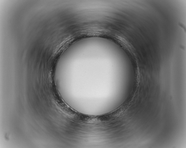X0000101420258200807071038
