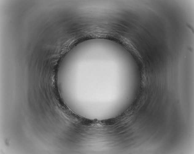 X0000101420259200807071038
