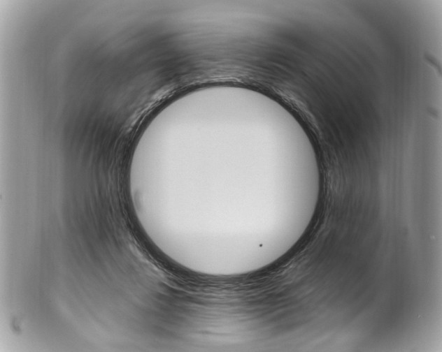 X0000101420260200807071038
