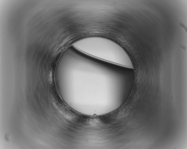 X0000101420262200807071038