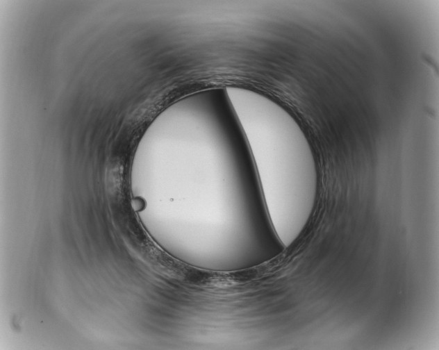X0000101420263200807071038