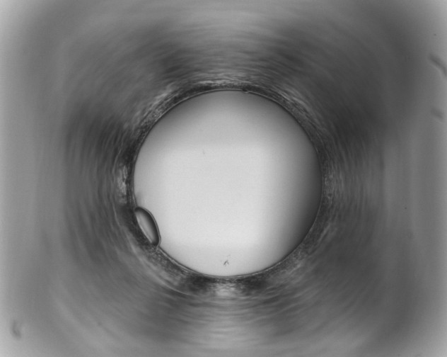 X0000101420264200807071038