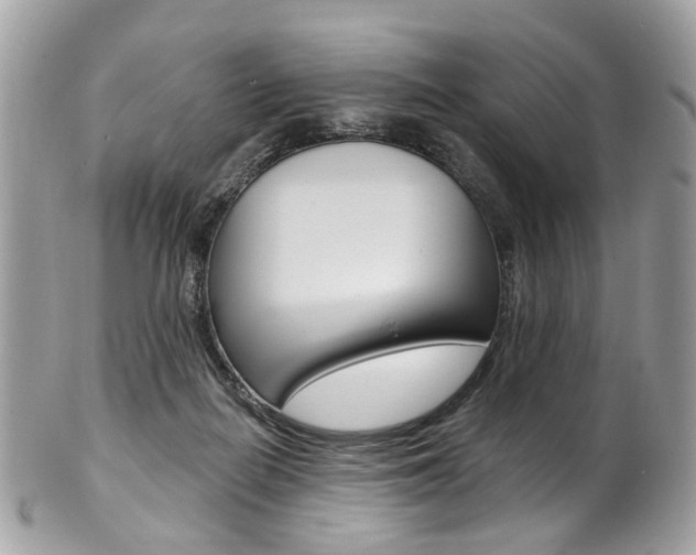 X0000101420266200807071038