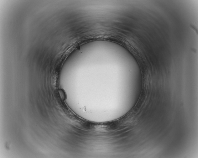 X0000101420268200807071038