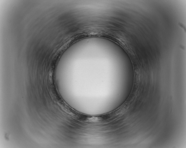 X0000101420269200807071038