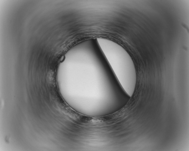 X0000101420270200807071038