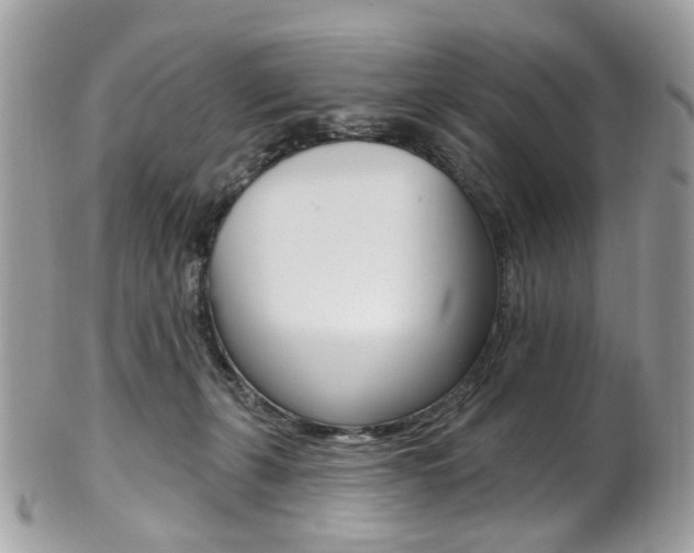 X0000101420271200807071038