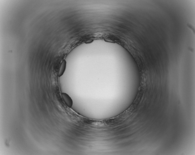 X0000101420272200807071038