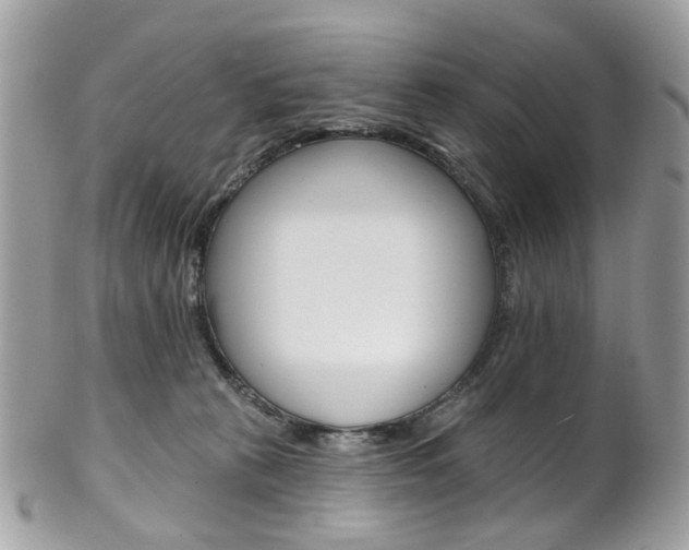 X0000101420273200807071038