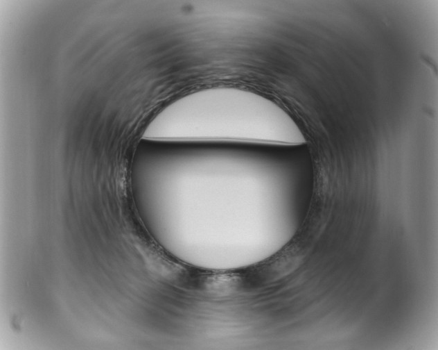 X0000101420274200807071038