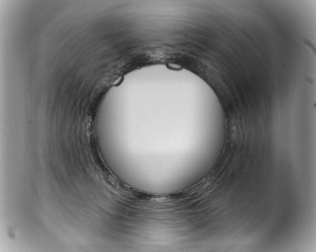 X0000101420275200807071038