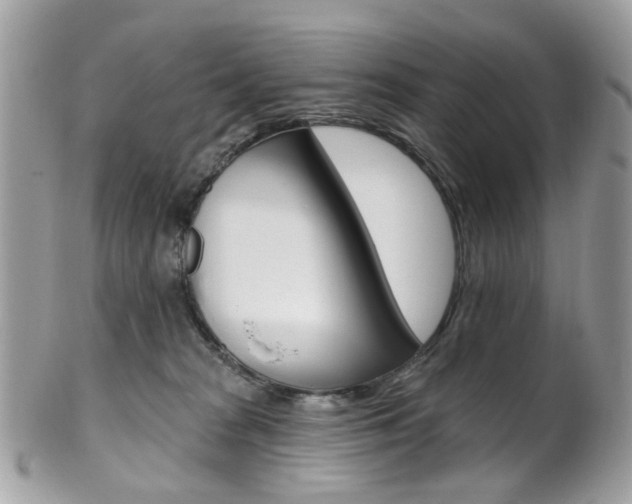 X0000101420277200807071038