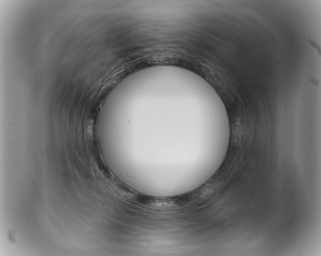 X0000101420278200807071038