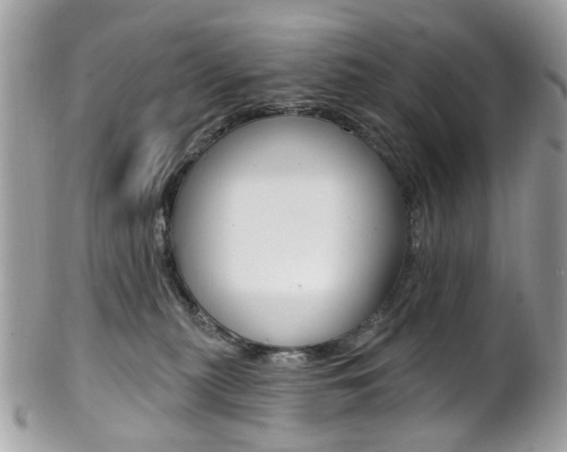 X0000101420279200807071038