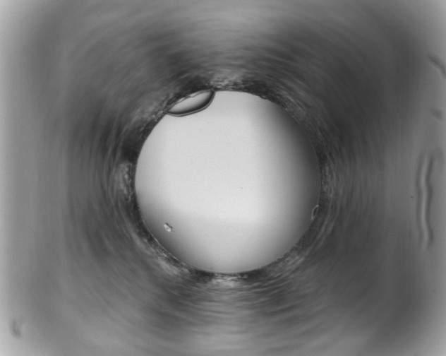 X0000101420280200807071038