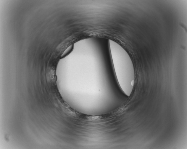 X0000101420281200807071038
