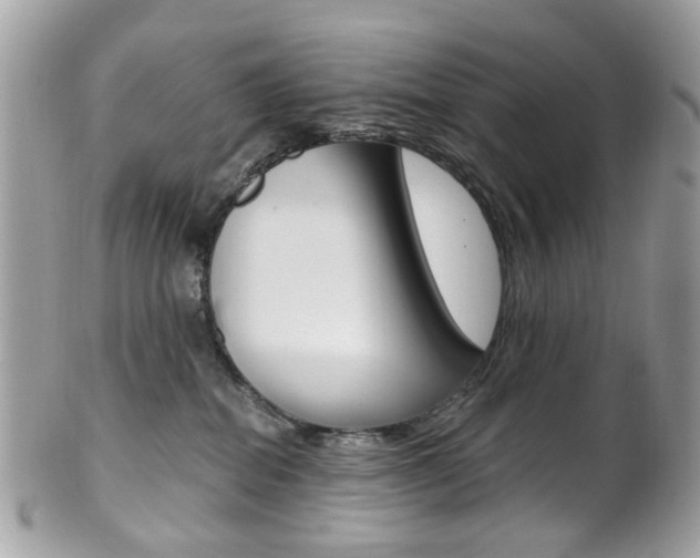 X0000101420282200807071038