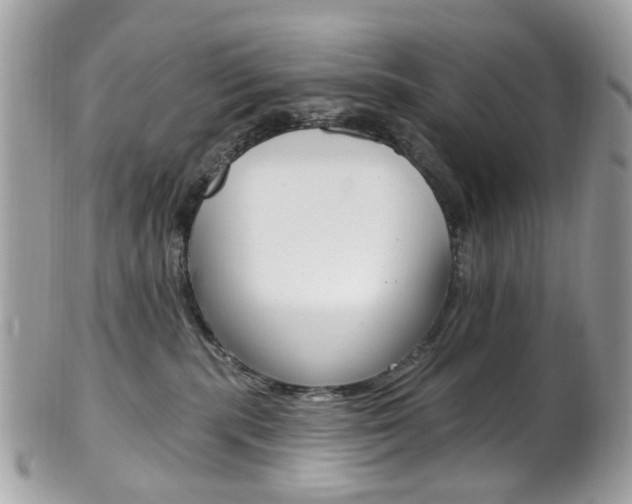 X0000101420283200807071038