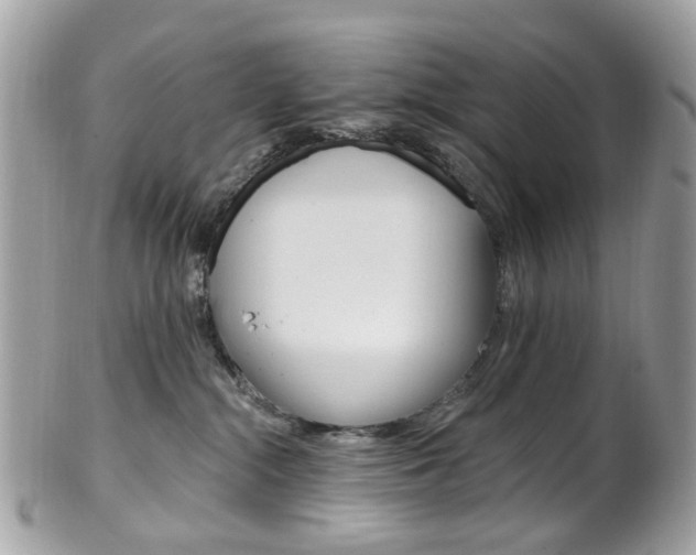 X0000101420284200807071038