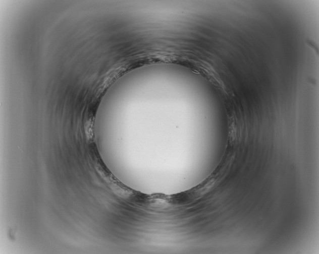 X0000101420285200807071038