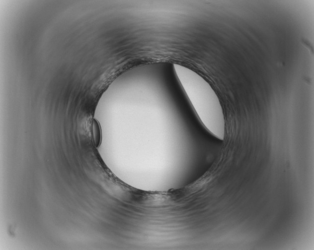 X0000101420286200807071038