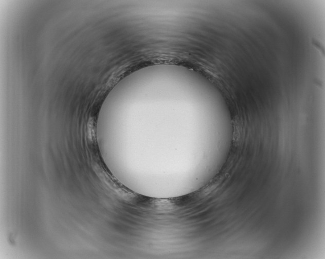 X0000101420287200807071038