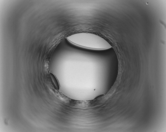 X0000101420288200807071038