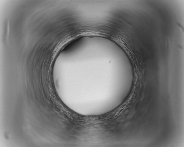 X0000101420289200807071038
