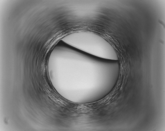 X0000101420290200807071038
