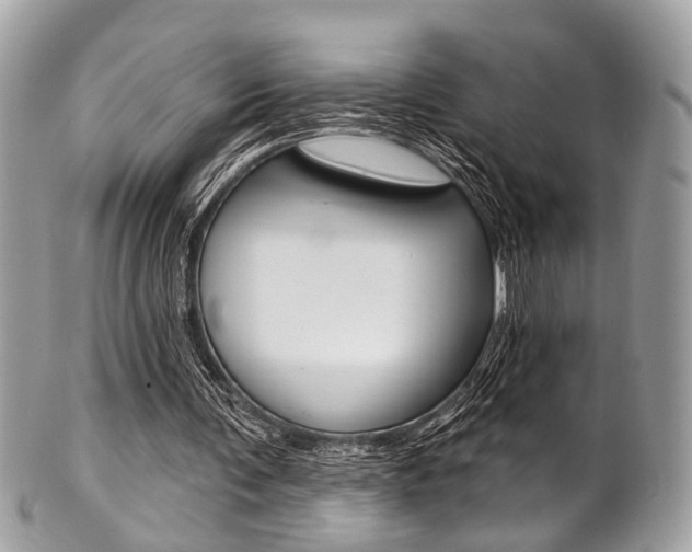 X0000101420291200807071038