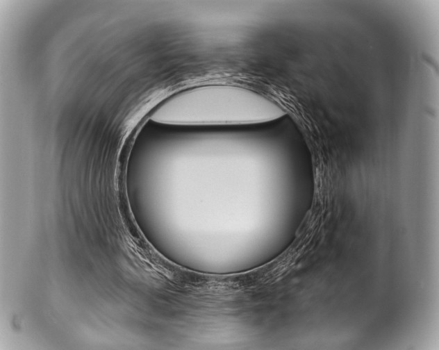 X0000101420292200807071038