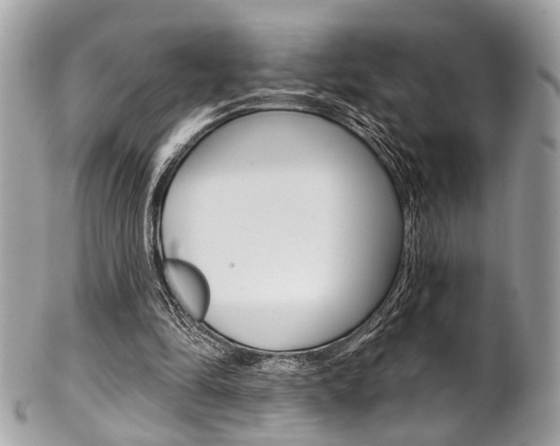 X0000101420294200807071038