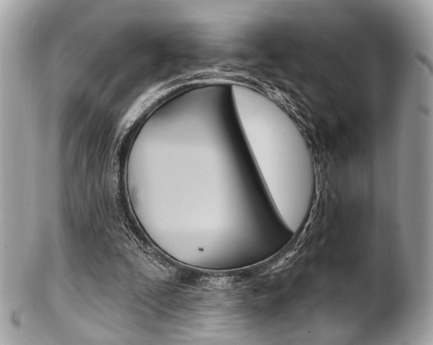 X0000101420295200807071038