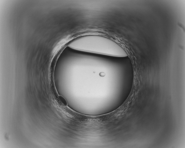 X0000101420296200807071037