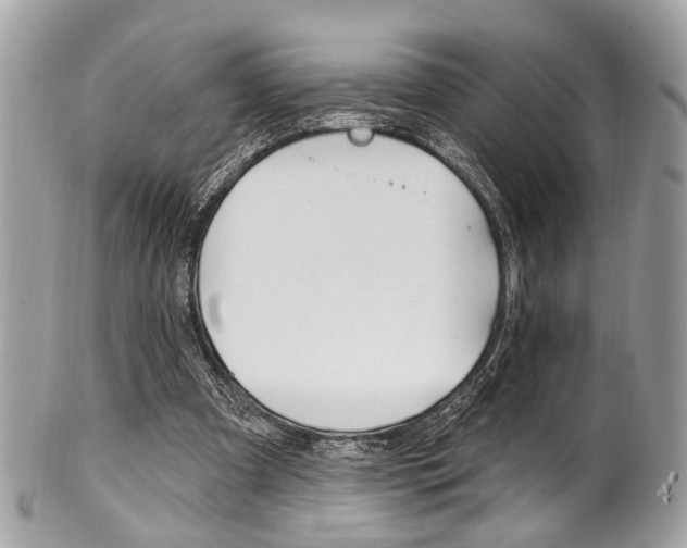 X0000101420297200807071037