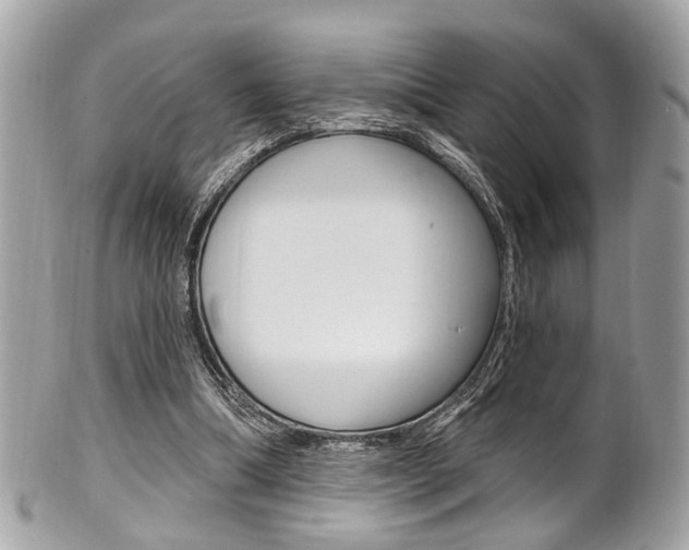 X0000101420298200807071037