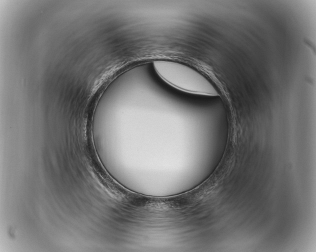 X0000101420299200807071037