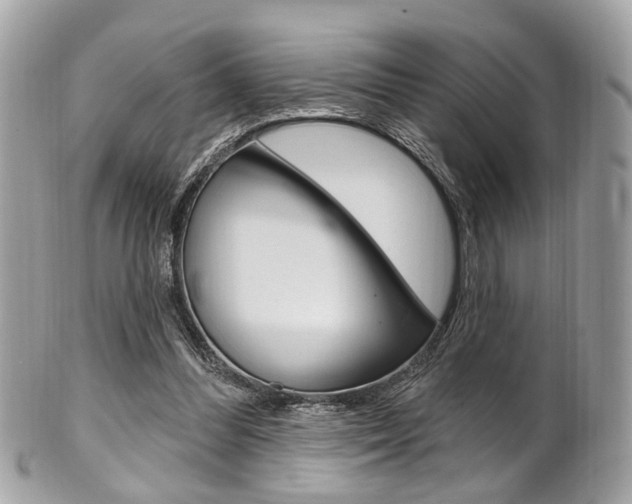 X0000101420300200807071037