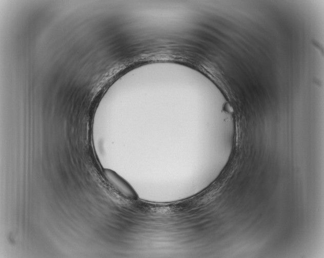 X0000101420301200807071037