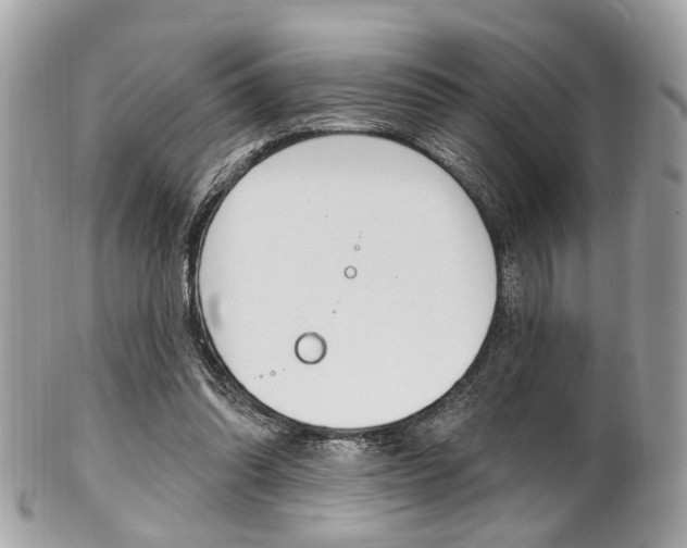 X0000101420302200807071037