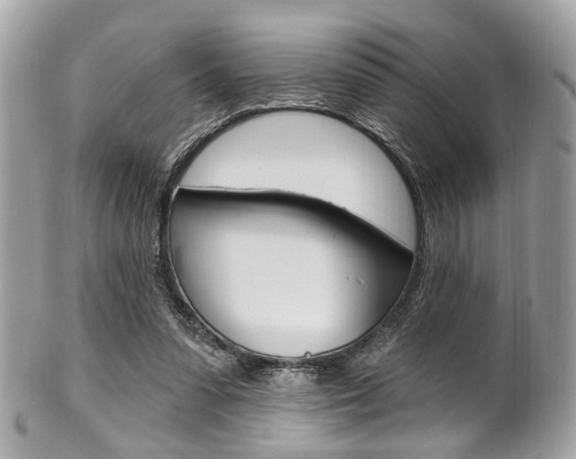 X0000101420303200807071037