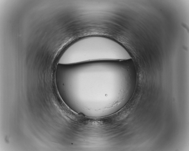 X0000101420304200807071037